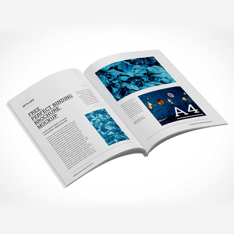 Libro de colorear de encargo del papel de arte que imprime el certificado clásico del CS del diseño