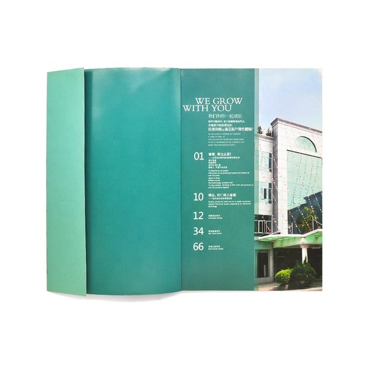 Libro ilustrado en color personalizado que imprime la aprobación ISO del color 4c+4c CMYK