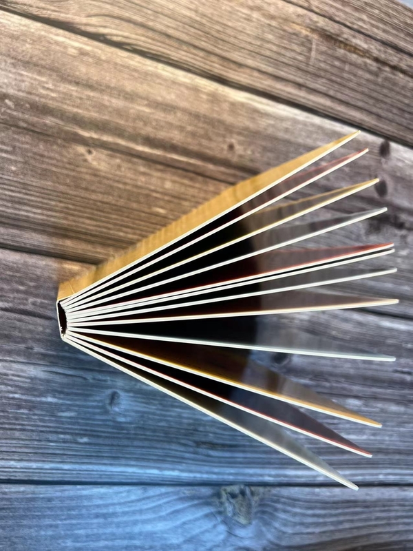 Libro que colorea de encargo del folleto del folleto A5 que imprime el color ISO de Cmyk